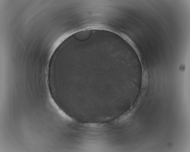 X0000111441005200907271125