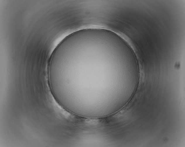 X0000111441006200907271125