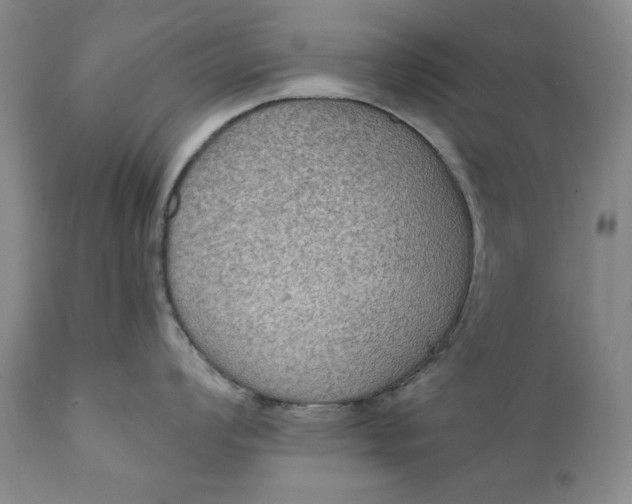 X0000111441008200907271125