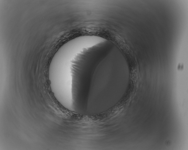 X0000111441009200907271124