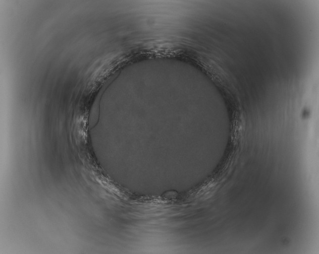 X0000111441010200907271124