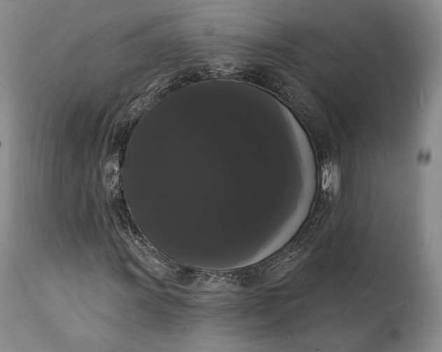 X0000111441011200907271124