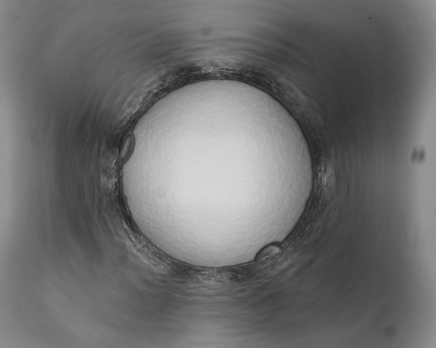 X0000111441012200907271124