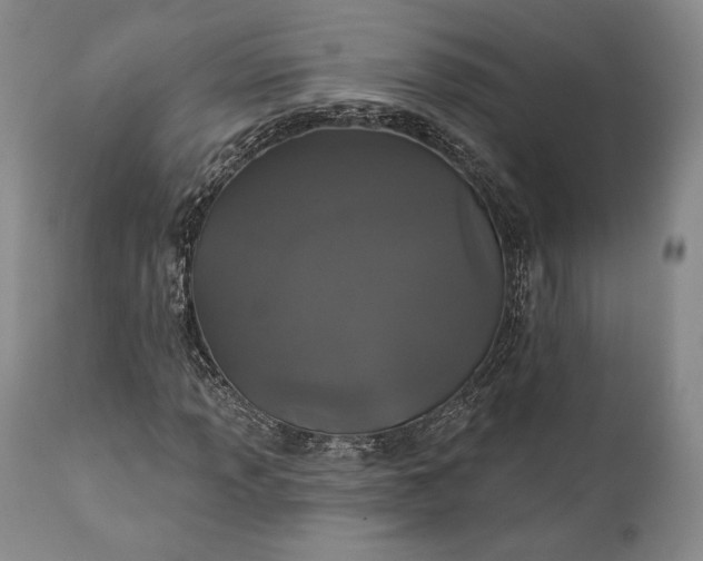 X0000111441013200907271124