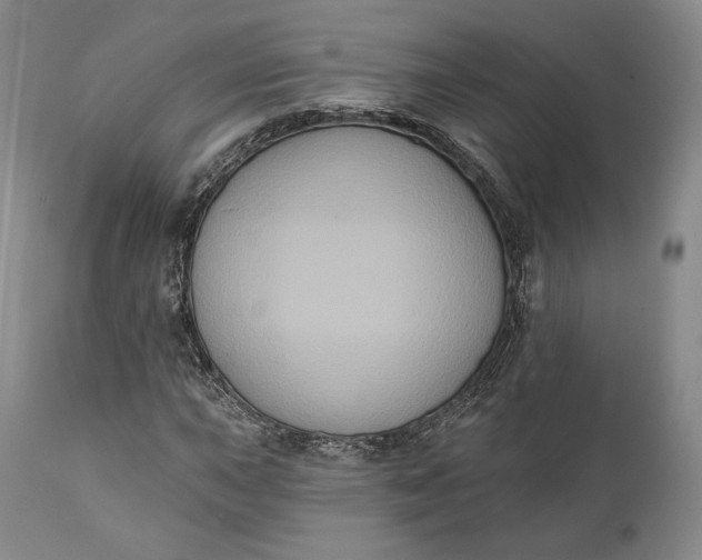 X0000111441015200907271124