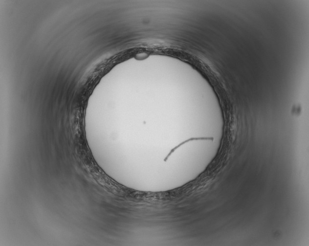 X0000111441016200907271124