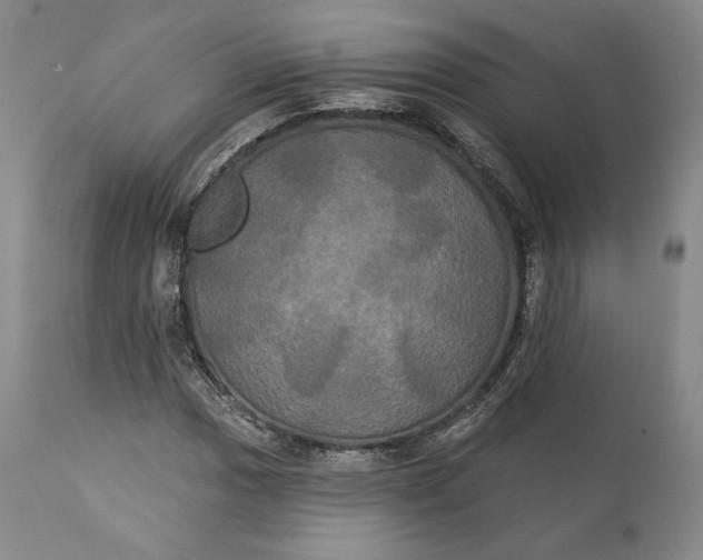 X0000111441017200907271124