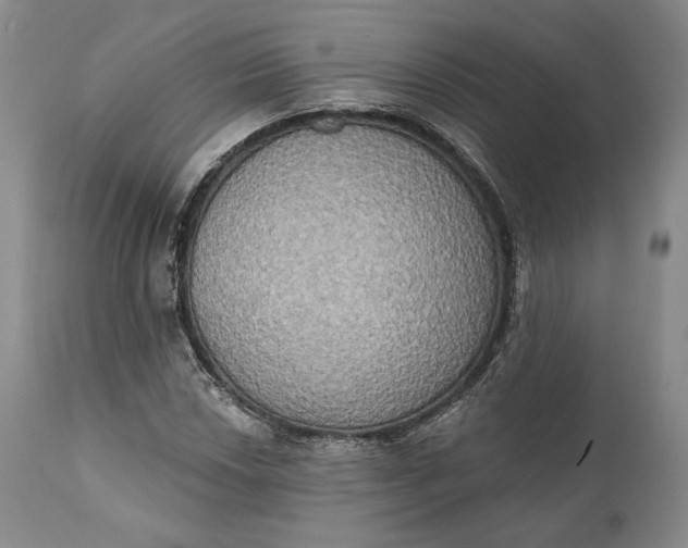 X0000111441018200907271124