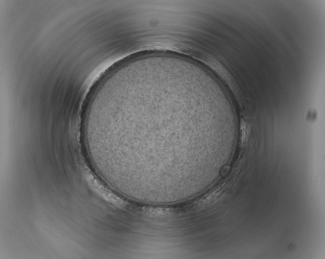 X0000111441020200907271124