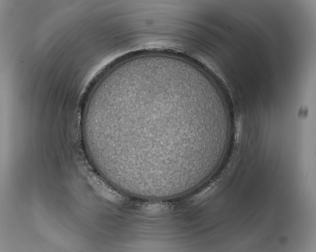 X0000111441021200907271124