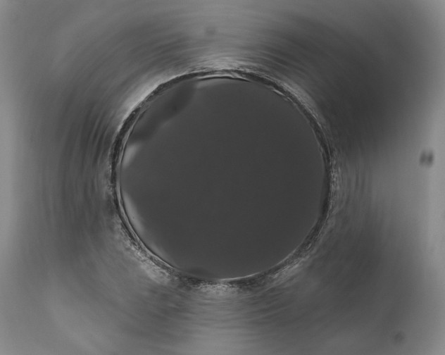 X0000111441023200907271124