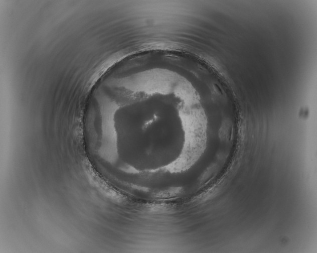 X0000111441025200907271124