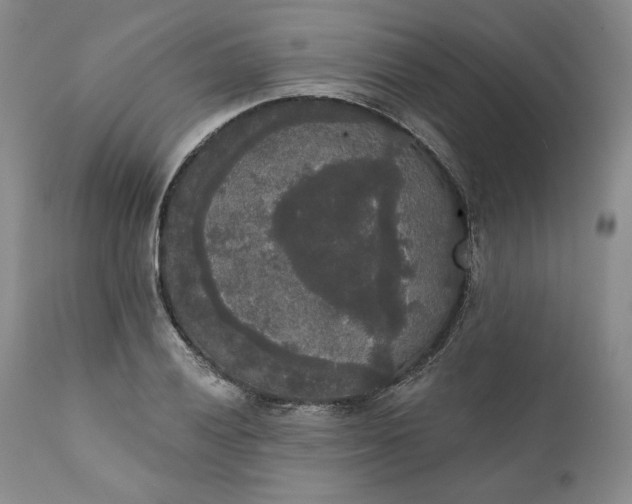 X0000111441028200907271124