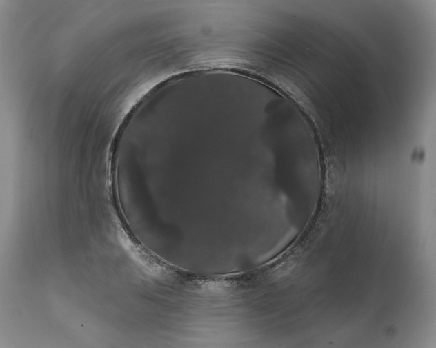 X0000111441031200907271124