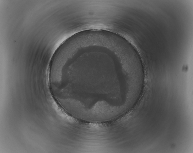 X0000111441032200907271124