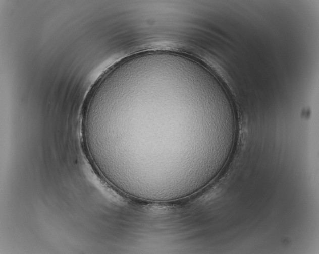 X0000111441034200907271124