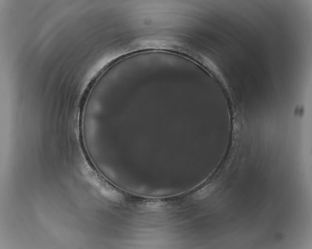 X0000111441035200907271124