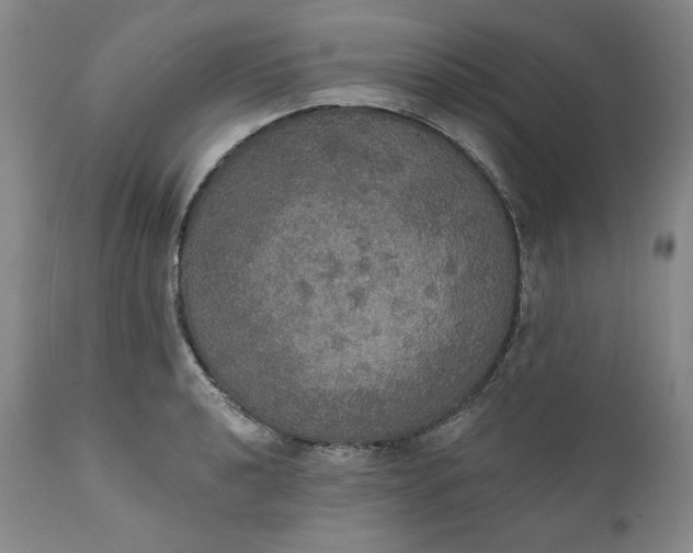 X0000111441040200907271124