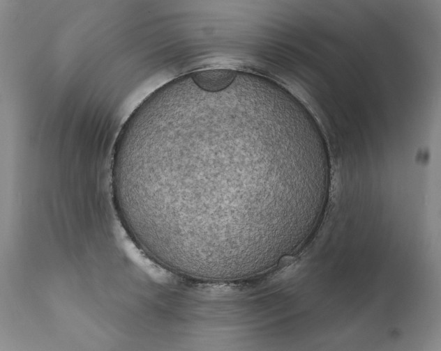 X0000111441042200907271124