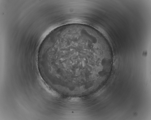 X0000111441043200907271125