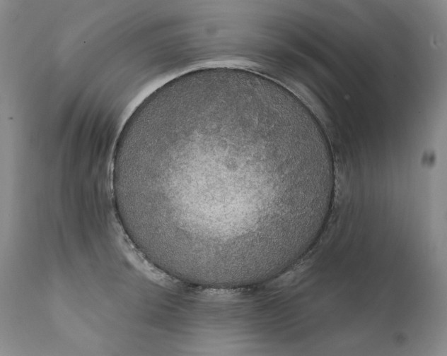 X0000111441044200907271125