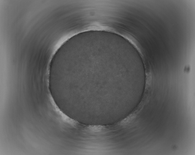 X0000111441046200907271125