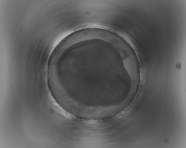 X0000111441048200907271125