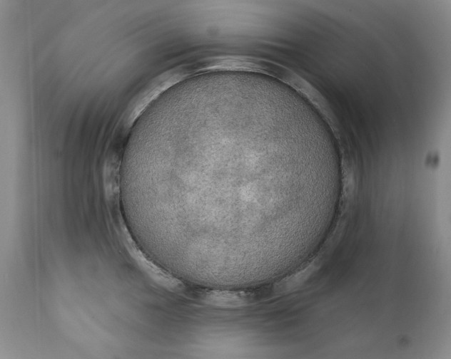 X0000111441049200907271125