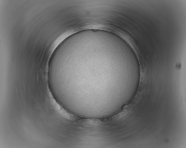 X0000111441050200907271125