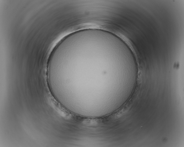 X0000111441051200907271125