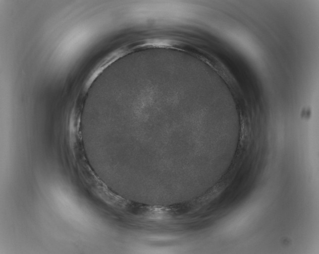 X0000111441052200907271125