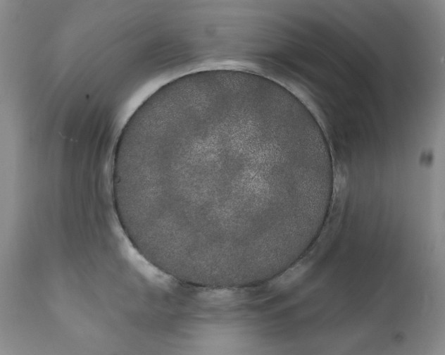 X0000111441054200907271125