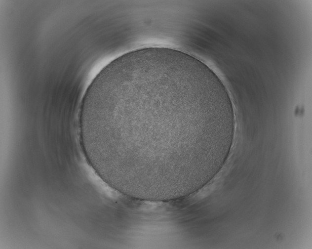 X0000111441056200907271125