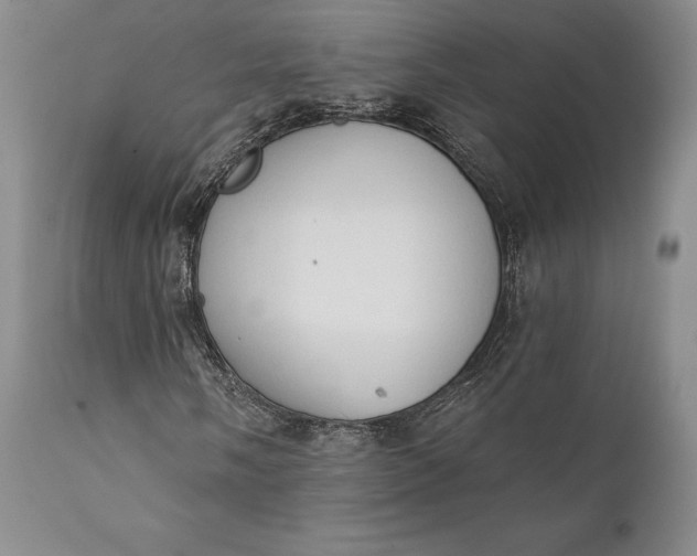 X0000111441058200907271124