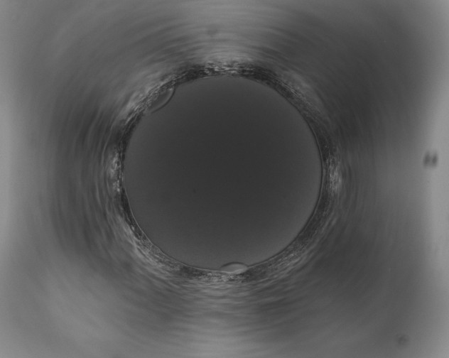 X0000111441060200907271124