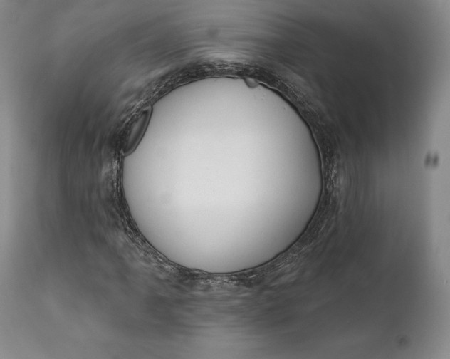 X0000111441061200907271124