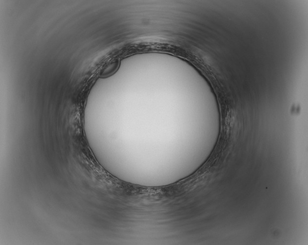 X0000111441062200907271124