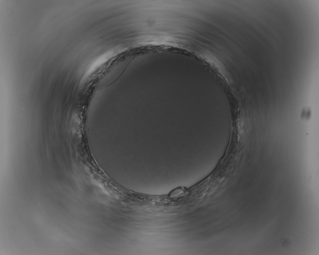 X0000111441064200907271124