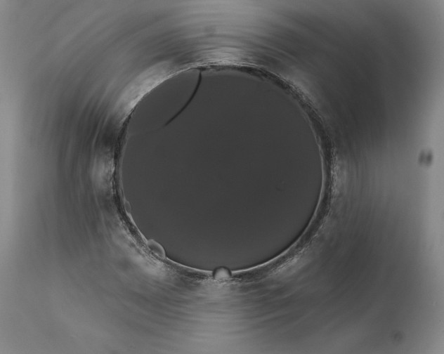 X0000111441065200907271124