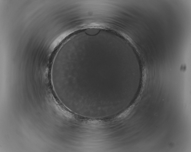 X0000111441066200907271124