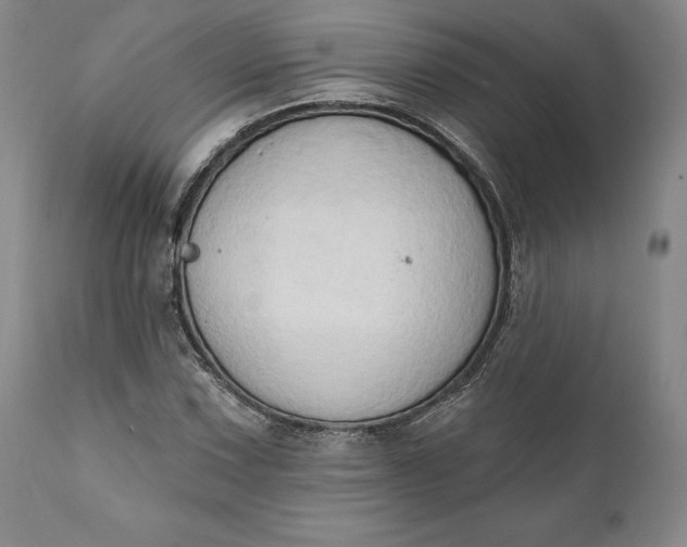 X0000111441067200907271124