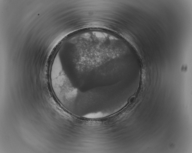 X0000111441068200907271124