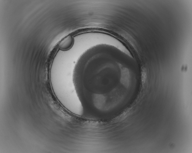 X0000111441069200907271124