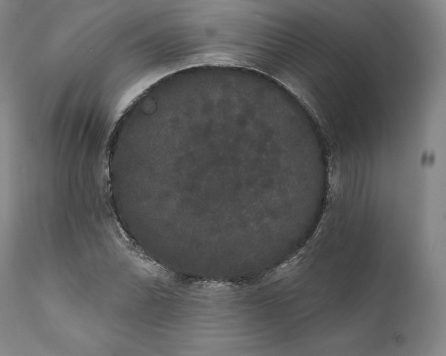 X0000111441070200907271124