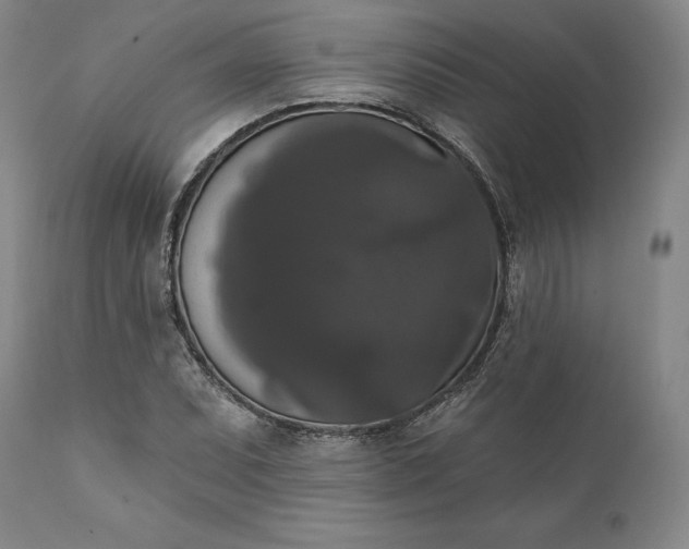 X0000111441071200907271124