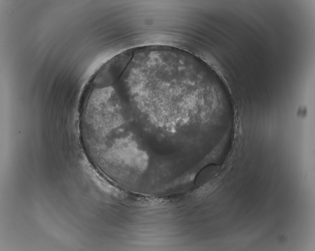 X0000111441072200907271124