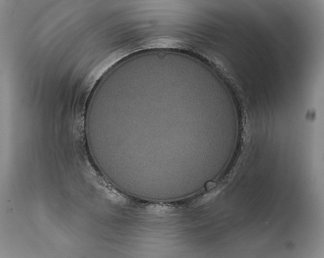 X0000111441073200907271124