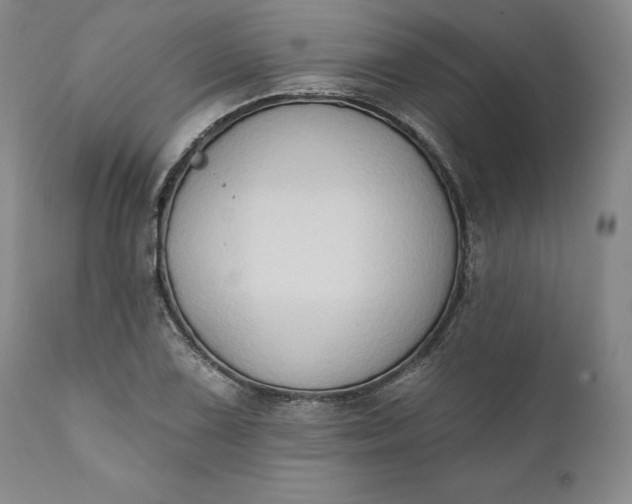 X0000111441075200907271124