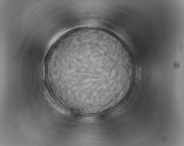 X0000111441078200907271124