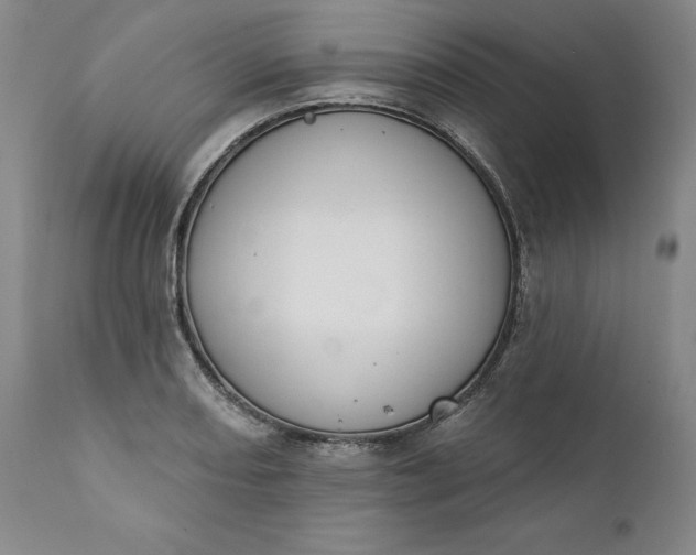 X0000111441082200907271124